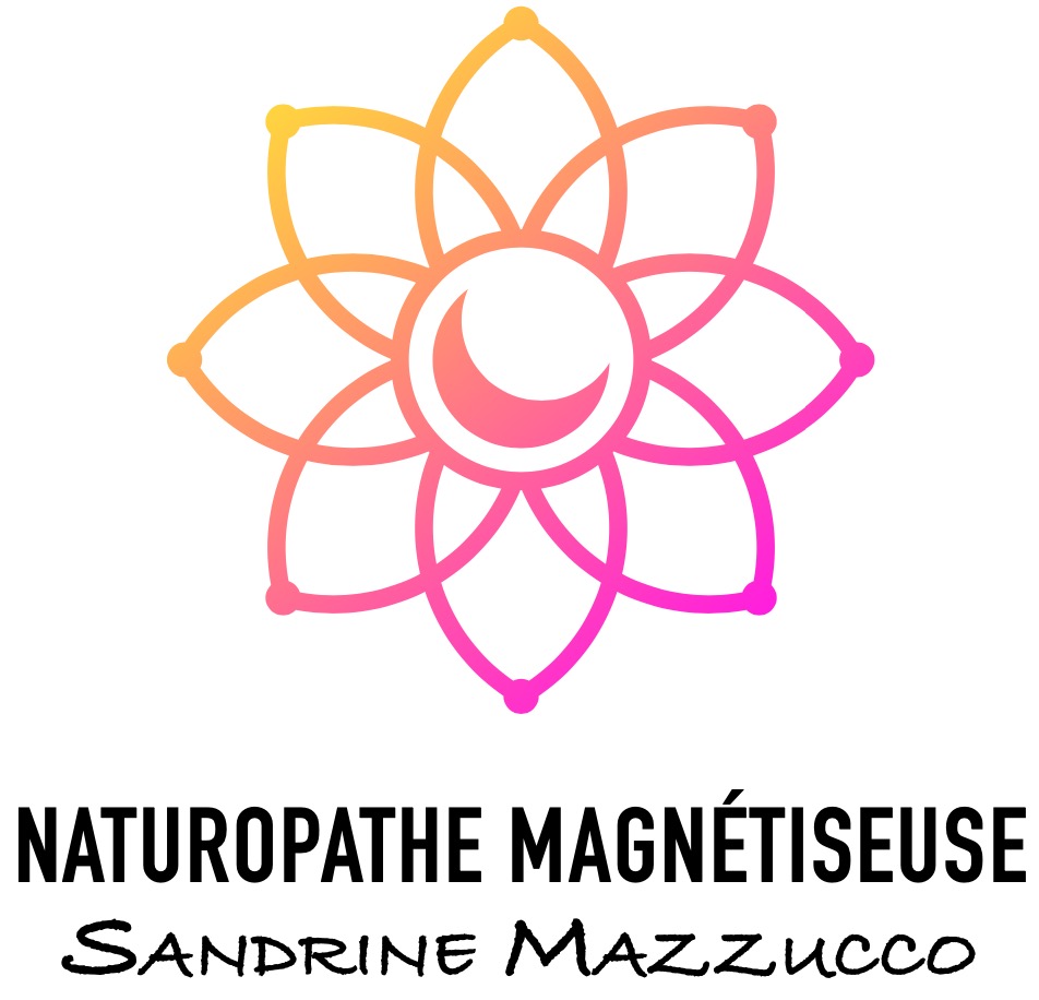 Naturopathe Magnétiseuse Magnétiseur Saint Maur des Fossés 94