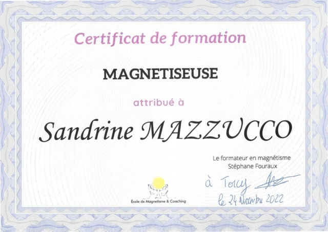 Magnétiseur Saint Maur des Fossés 94100