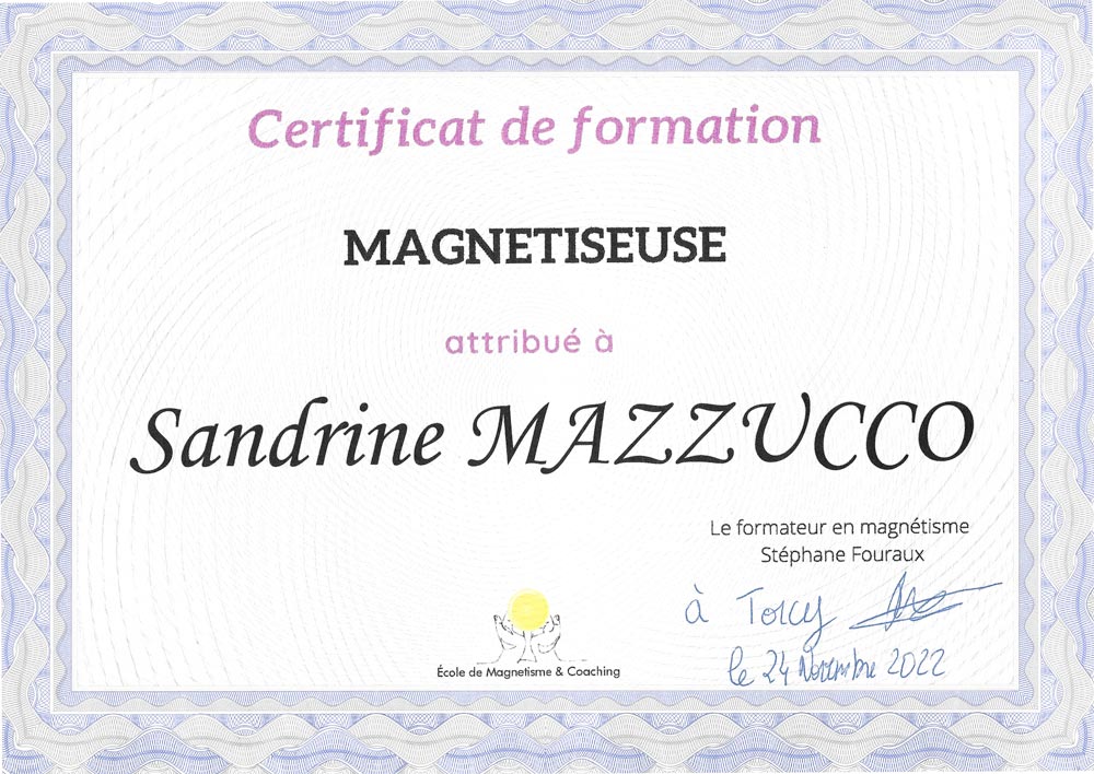 Magnétiseur Saint Maur des Fossés 94100