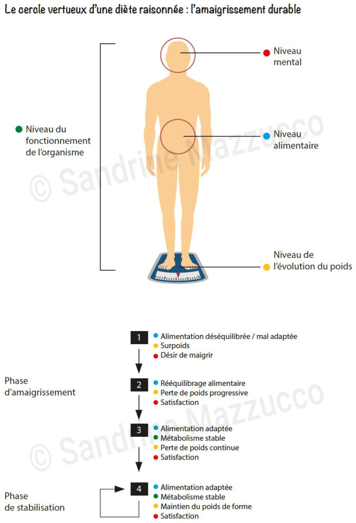 Alimentation équilibrée